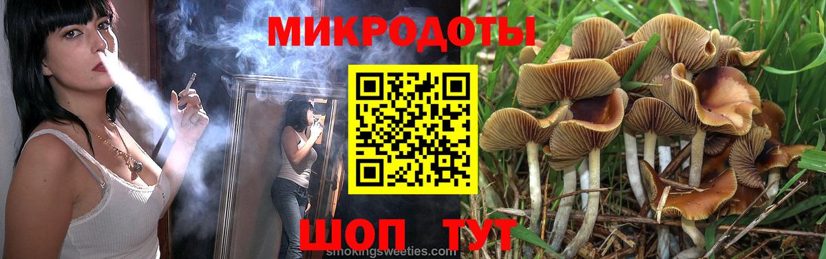 Галлюциногенные грибы Cubensis Лабинск