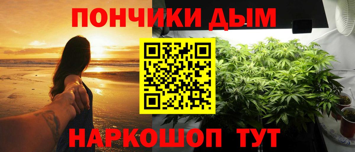 Шишки марихуана марихуана Лабинск